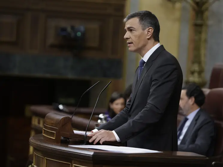 S&aacute;nchez, en su intervenci&oacute;n / Congreso.es