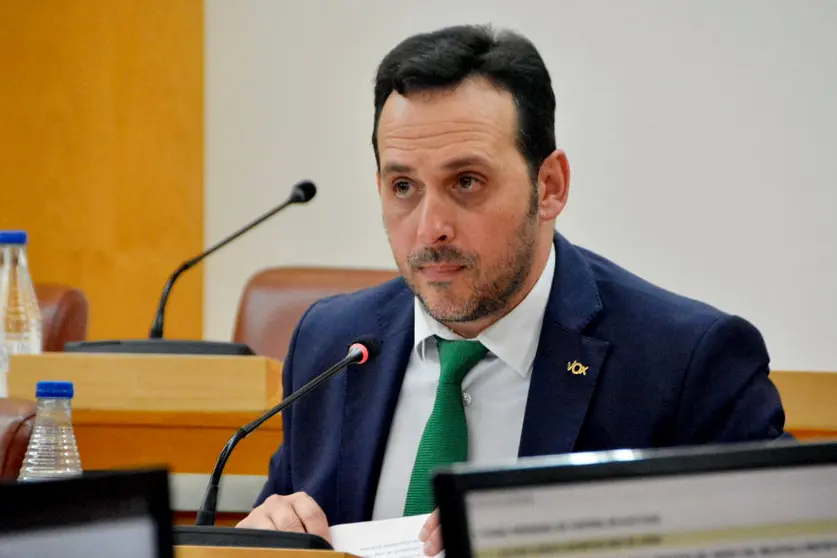 Juan Sergio Redondo, portavoz de Vox durante un pleno / Archivo