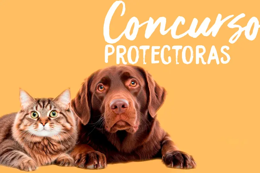 CONCURSO PROTECTORAS