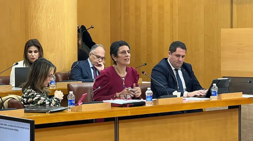  La consejera de Hacienda, Kissy Chandiramani, en una de sus intervenciones en el Pleno 