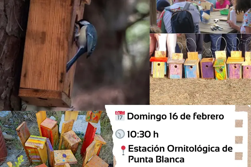 CAJAS NIDO