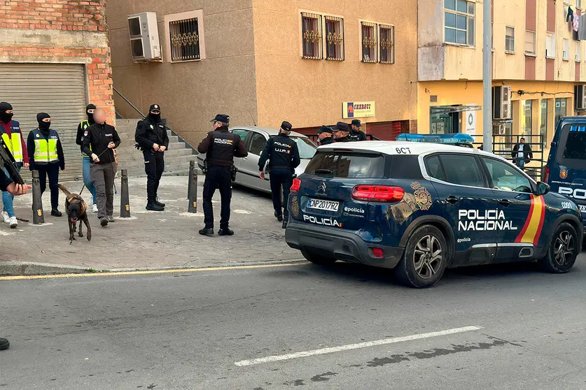 OP ATAM-Macetero 21