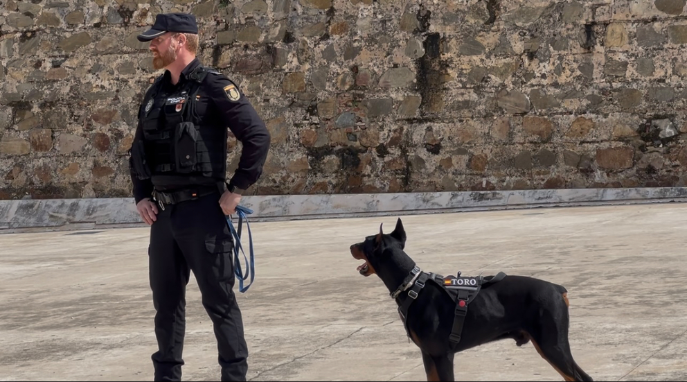 Exhibici&oacute;n unidad canina de la Polic&iacute;a Nacional / Alma Palomino