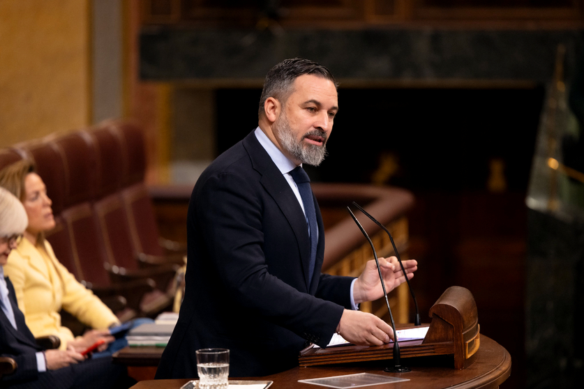 Santiago Abascal, durante una  intervenci&oacute;n en el Congreso / VOX