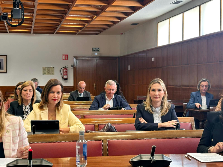 Las senadoras del Partido Popular en la Comisi&oacute;n de Comercio del Senado 