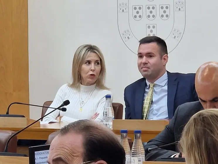 Teresa L&oacute;pez y Carlos Verdejo, durante una sesi&oacute;n plenaria / L. Ortiz