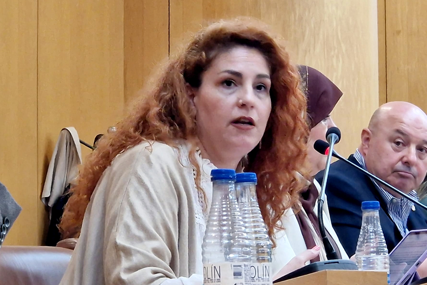 La diputada Julia Ferreras durante una intervenci&oacute;n en el Pleno / Laura Ortiz