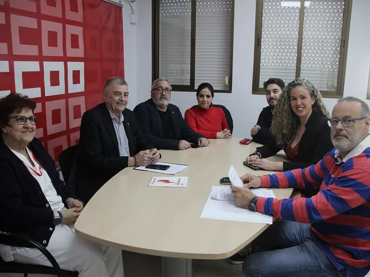 REUNION CCOO INSERSO