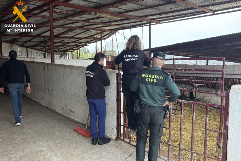 Guardia Civil y Protecci&oacute;n Animal / Cedida