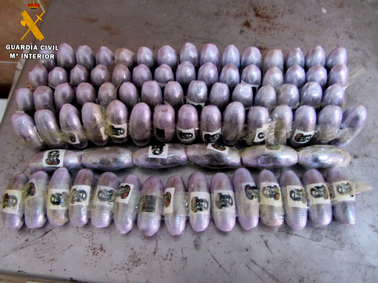 La Guardia Civil intercepta 20 kilos de hach&iacute;s en el embarque hacia Algeciras 