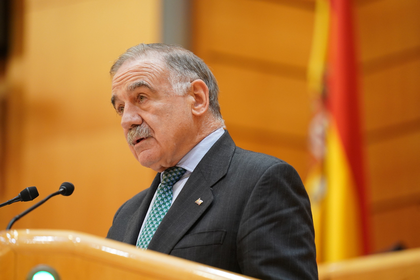 El senador del PP, Fernando Guti&eacute;rrez, durante su intervenci&oacute;n en el Senado