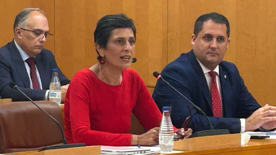 La consejera de Hacienda, Kissy Chandiramani, durante una de sus intervenciones plenarias / Archivo