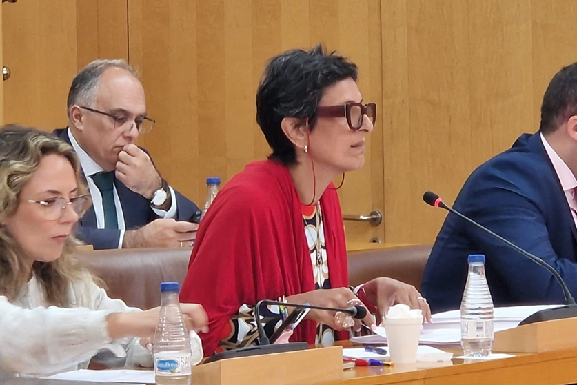 La consejera de Hacienda responde a las acusaciones del PSOE en la sesi&oacute;n de control / Laura Ortiz