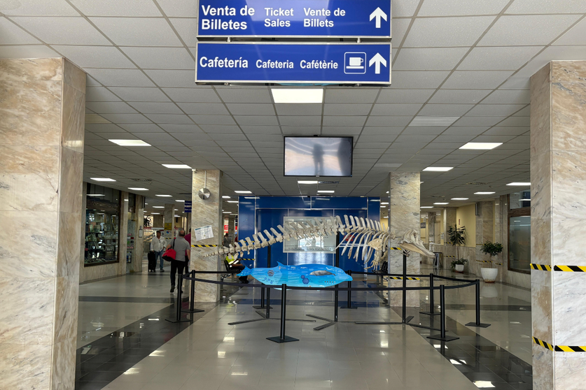 Estaci&oacute;n mar&iacute;tima / Alma Palomino