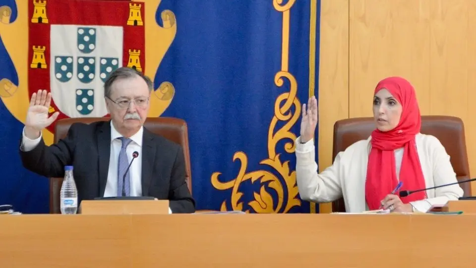   Vivas y Hamed votando en el mismo sentido en un Pleno este a&ntilde;o./archivo  