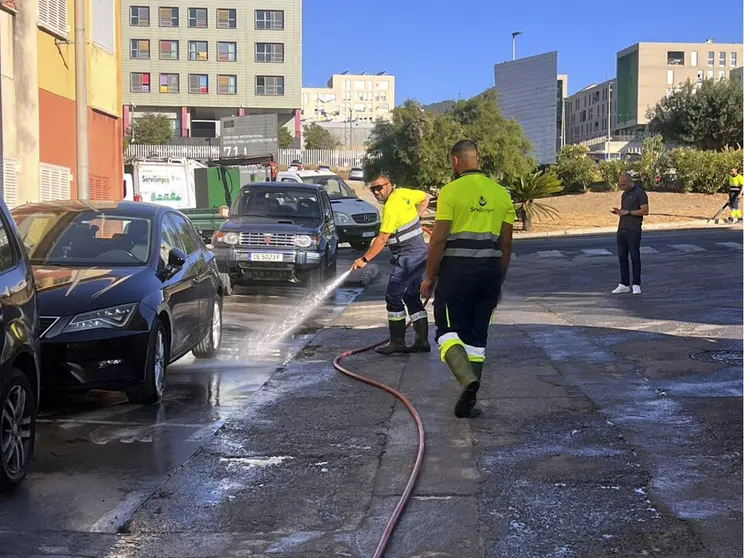 Limpieza en Loma Colmenar
