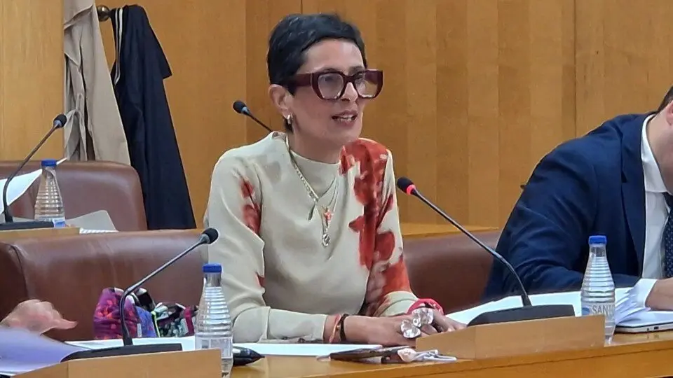 Kissy Chandiramani, consejera de Hacienda, en un Pleno de la Asamblea / Archivo