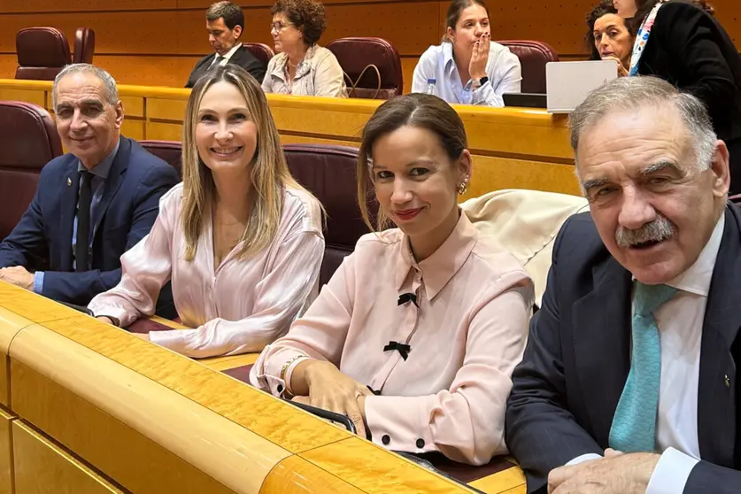 Grupo Popular Parlamentario / PP