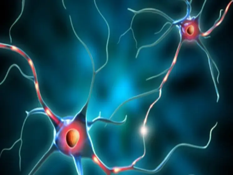 NEURONAS