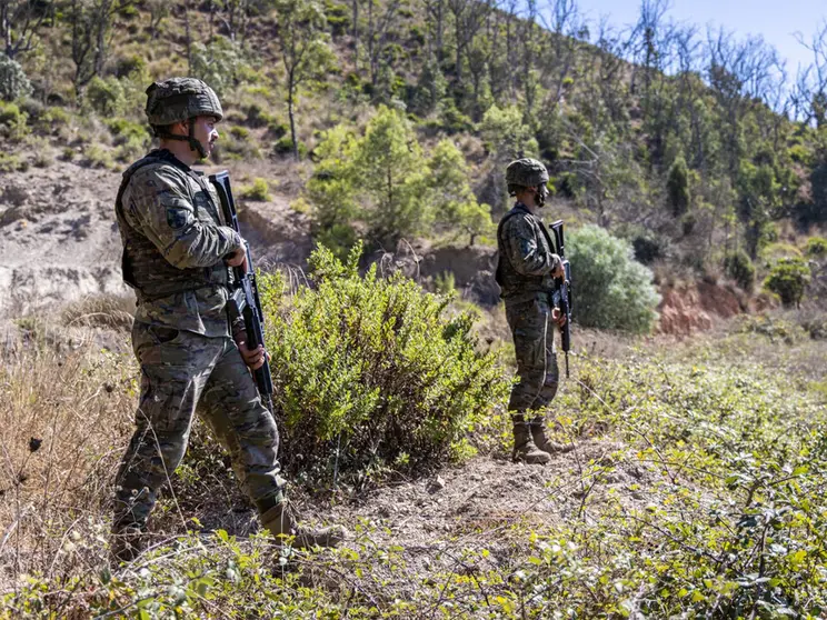 Operaciones permanentes de presencia, vigilancia y disuasi&oacute;n