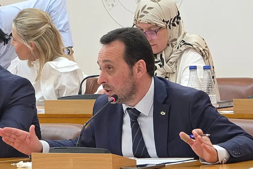 Juan Sergio Redondo, portavoz de Vox, durante una sesi&oacute;n plenaria / Laura Ortiz