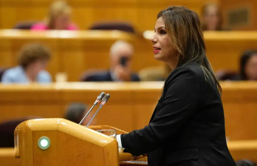 Nabila Benzina durante su intervenci&oacute;n en el Senado