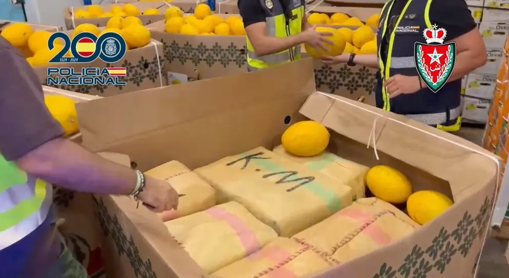 9.300 kilos de hach&iacute;s&nbsp;ocultos entre la carga / Polic&iacute;a Nacional