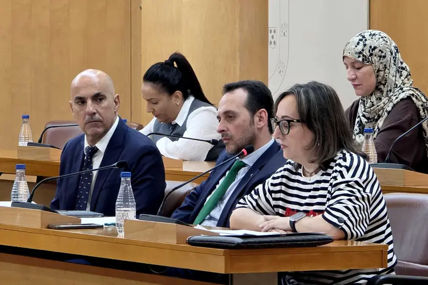 La diputada Cifuentes durante el debate respecto a las situaci&oacute;n de las barriadas / Laura Ortiz