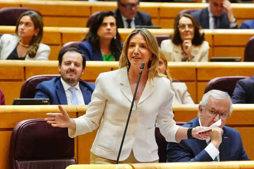 Alicia Garc&iacute;a, senadora y portavoz del Grupo Parlamentario Popular / Foto: Partido Popular