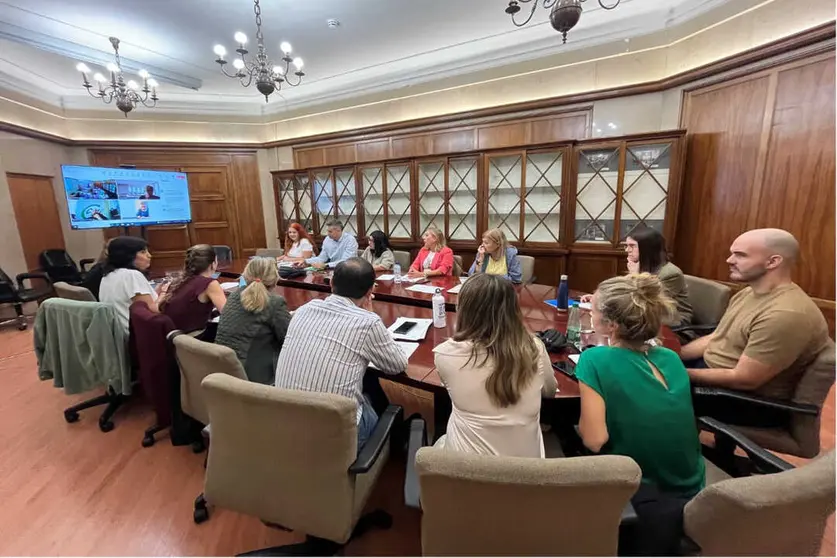 Mesa Sectorial de Sanidad / Cedida