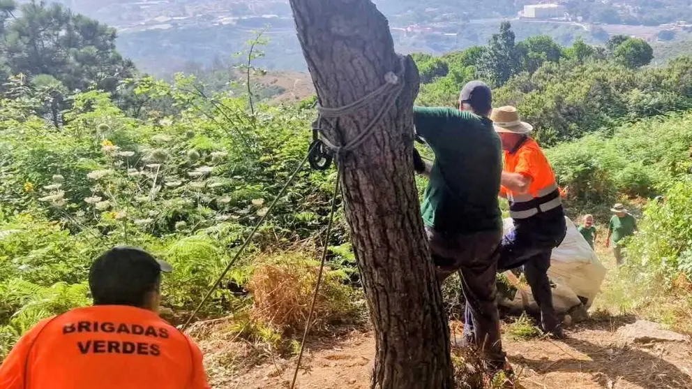  Trabajadores de las Brigadas Verdes, durante una jornada de mantenimiento forestal /Archivo 