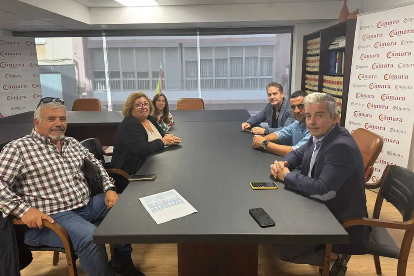 Reuni&oacute;n de la C&aacute;mara de Comercio con las Autoescuelas de Ceuta
