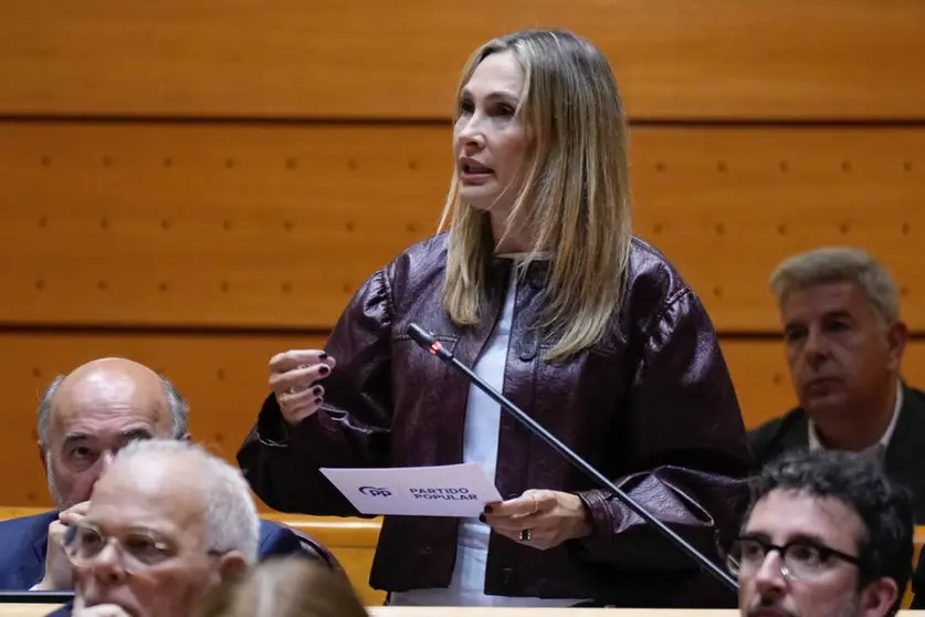 La senadora Cristina D&iacute;az durante su intervenci&oacute;n en el Senado / PP