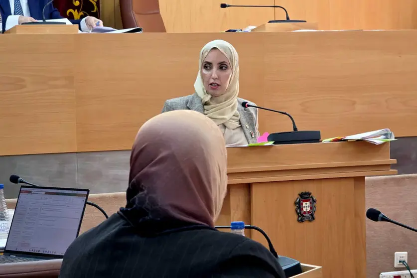 La portavoz de MDYC durante su intervenci&oacute;n en el Pleno de Presupuestos _ Laura Ortiz