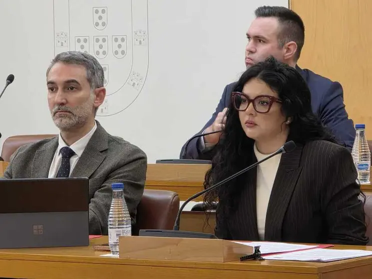 PSOE. Sesi&oacute;n plenaria / Laura Ortiz