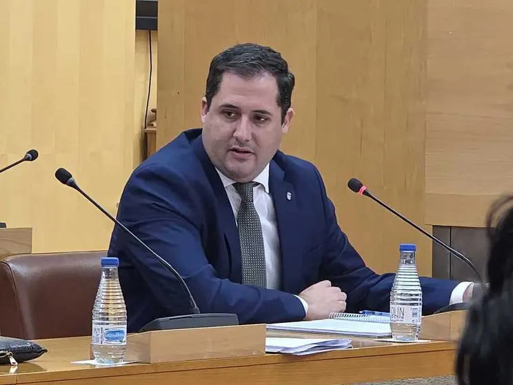 Alejandro Ram&iacute;rez durante una sesi&oacute;n plenaria / Laura Ortiz