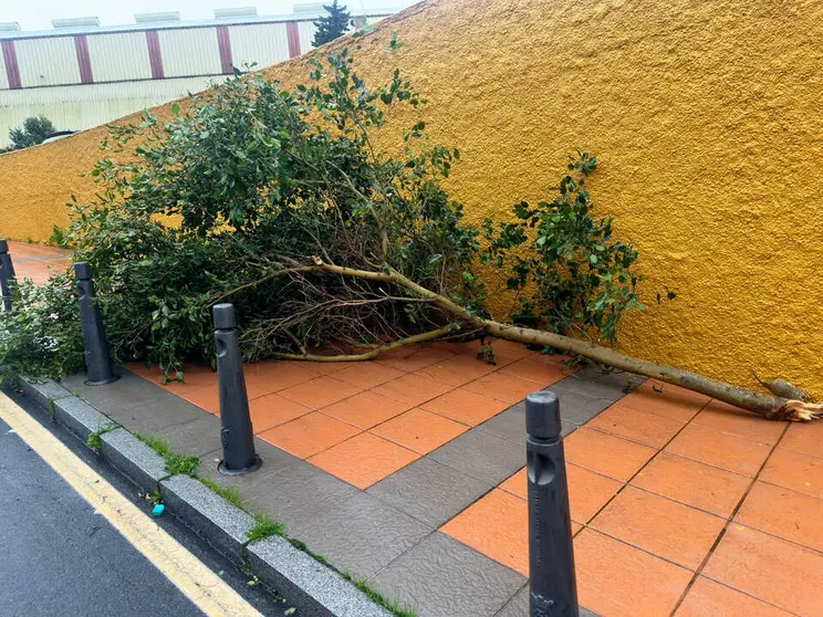 Efectos del fuerte temporal en Ceuta. Foto: Mohamed Ettouileb