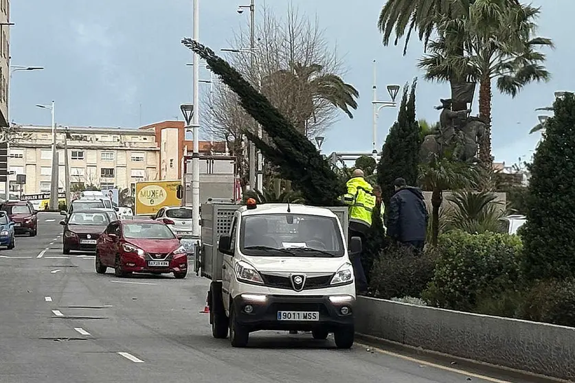 Incidencias del temporal