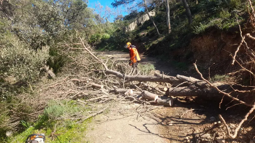 Labor de las brigadas forestales durante las borrascas