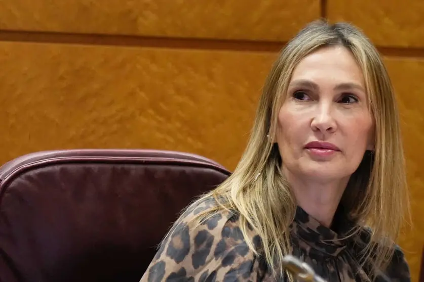 La senadora Cristina D&iacute;az ha sido la encargada de defender la propuesta / PP