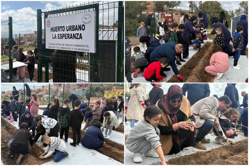 Huerto urbano 'La Esperanza'&nbsp;/ Alma Palomino
