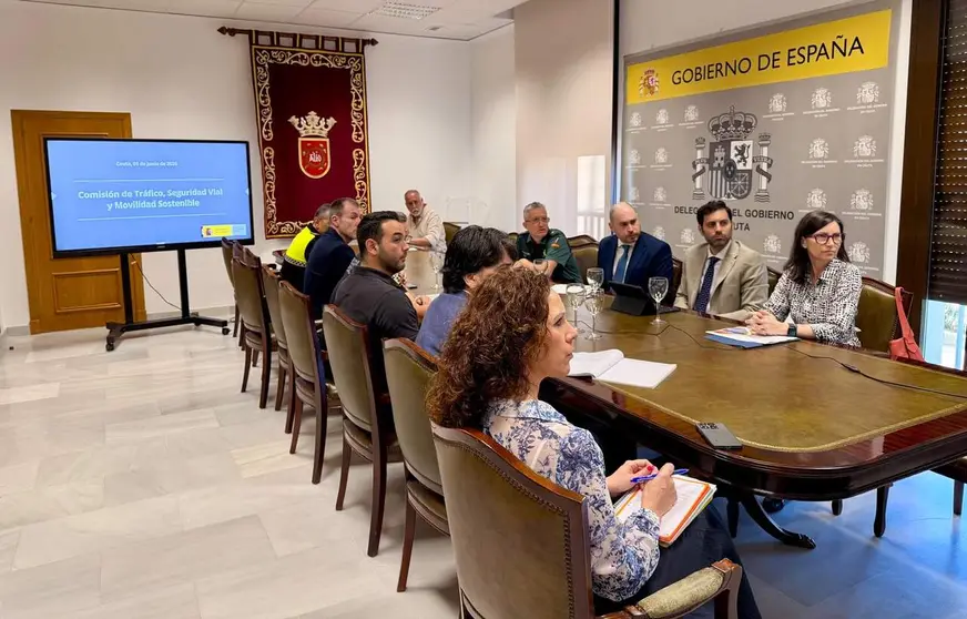 Reuni&oacute;n de la Comisi&oacute;n de Tr&aacute;fico, Seguridad Vial y Movilidad Sostenible