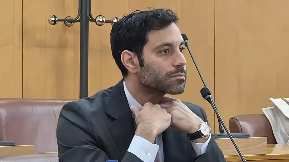 El consejero de Urbanismo, Rafael Mart&iacute;nez Pe&ntilde;alver en el Pleno de este mi&eacute;rcoles./L.Ortiz 