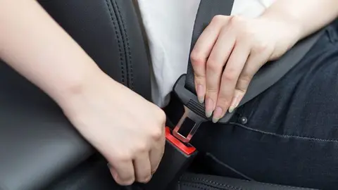 Cintur&oacute;n de seguridad / DGT