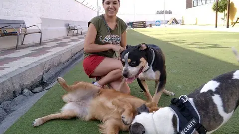 Perros en el parque / Archivo