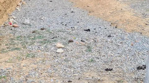 Excrementos de mascotas en las Murallas Merin&iacute;es. Archivo