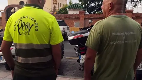Miembros de las Brigadas Verdes / Archivo