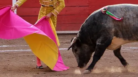 Corrida de toros / archivo