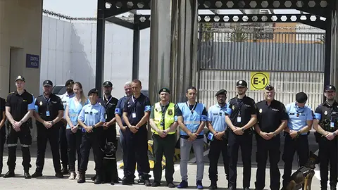 Operaci&oacute;n Minerva / Cedida