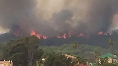 Incendio de 2015 / Archivo